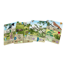 Cargar imagen en el visor de la galería, Forest Shuffle Linde del bosque