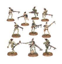 Cargar imagen en el visor de la galería, T'AU EMPIRE: KROOT CARNIVORE SQUAD