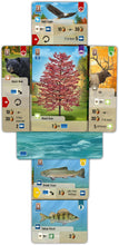 Cargar imagen en el visor de la galería, FOREST SHUFFLE SMOKY MOUNTAINS (PREVENTA)