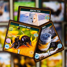 Cargar imagen en el visor de la galería, Keystone NorteAmérica