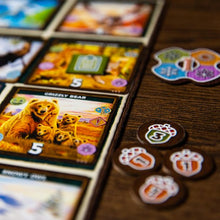 Cargar imagen en el visor de la galería, Keystone NorteAmérica