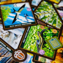 Cargar imagen en el visor de la galería, Keystone NorteAmérica