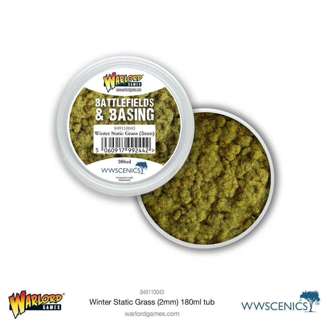 Battlefields & Basing: Winter Grass 2mm Static Grass