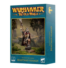 Cargar imagen en el visor de la galería, BEASTMEN BRAYHERDS: BEASTMAN SHAMAN
