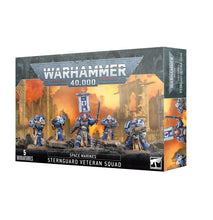 Cargar imagen en el visor de la galería, SPACE MARINES: STERNGUARD VETERAN SQUAD
