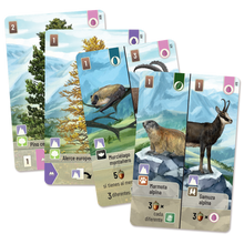 Cargar imagen en el visor de la galería, FOREST SHUFFLE CUMBRES ALPINAS  (Pre-venta)
