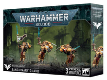 Cargar imagen en el visor de la galería, BLOOD ANGELS: SANGUINARY GUARD
